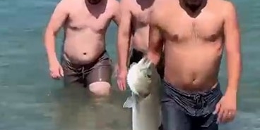 Yüzmek için girdiği denizde eliyle 6 kiloluk levrek yakaladı