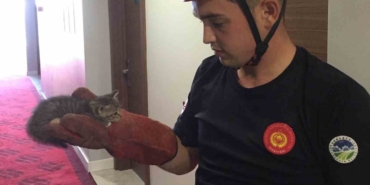 8 ayda bin 358 hayvan, çaresizliğin kıyısından alındı