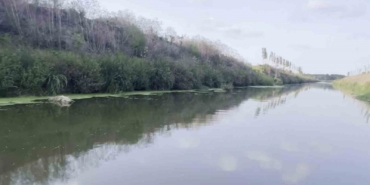 Acarlar Longozu’nun saklı kalmış bölgesi yeniden hayat buldu