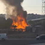 Ahır alev alev yandı, hayvanlar son anda kurtarıldı