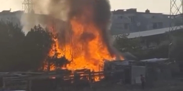 Ahır alev alev yandı, hayvanlar son anda kurtarıldı