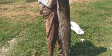 Amatör balıkçının yakaladığı yayın balığını görenler şaştı kaldı