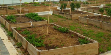 Ataşehir’de kent bostanı kuruluyor: “Kendin yetiştir, kendin tüket”