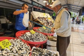 Av yasağı bitti tezgahlar palamutla doldu