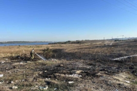 Avcılar’da otluk alandaki yangın güvercin kulübesine sıçramadan söndürüldü