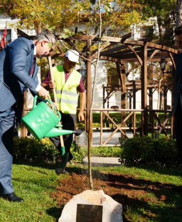 Bakan Işıkhan, Bilecik’te çınar fidanı dikti