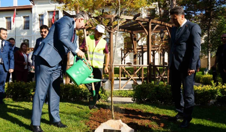 Bakan Işıkhan, Bilecik’te çınar fidanı dikti