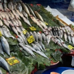 Balık sezonu açıldı: İstanbul’da balıklar tezgahlardaki yerini aldı