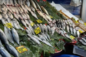 Balık sezonu açıldı: İstanbul’da balıklar tezgahlardaki yerini aldı