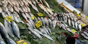 Balık sezonu açıldı: İstanbul’da balıklar tezgahlardaki yerini aldı