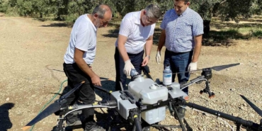 Balıkesir’de zeytin sineğiyle mücadelede sürüyor
