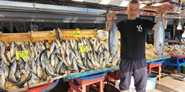 Bandırma Balık Hali’nde palamut bolluğu yaşanıyor