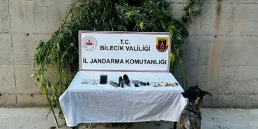 Bilecik’te evinin bahçesinde kenevir yetiştiren şüpheli düzenlenen operasyonla yakalandı