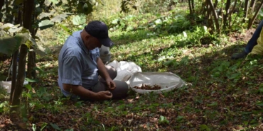 Bin liranın üzerinde yevmiye veriyor ama çalıştıracak işçi bulamıyor