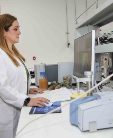 BTÜ’lü akademisyenler kozalak şuruplarının içeriğini araştıracak