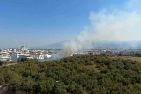 Bursa’da çocukların torpille eğlencesi yangına neden oldu