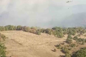 Bursa’da korkutan orman yangını