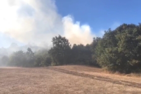 Bursa’da korkutan orman yangını