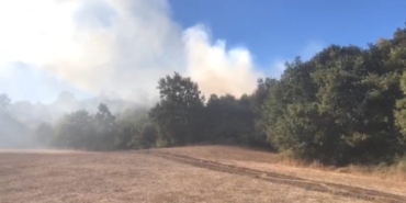 Bursa’da korkutan orman yangını