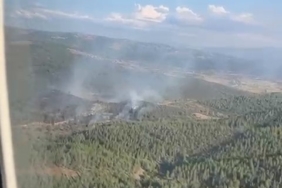 Bursa’da korkutan orman yangını