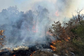 Bursa’da korkutan orman yangını