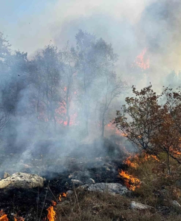 Bursa’da korkutan orman yangını