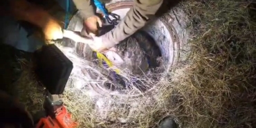 Bursa’da rögara düşen koyunlar kurtarıldı