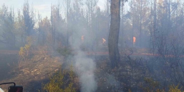 Çanakkale’daki orman yangını kontrol altına alındı