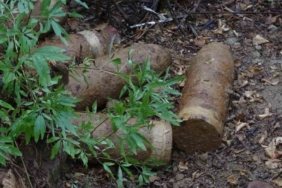 Çanakkale’de 109 yıllık 18 top mermisi bulundu