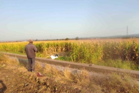 Çanakkale’de otomobil mısır tarlasına uçtu: Anne ve kızı hayatını kaybetti