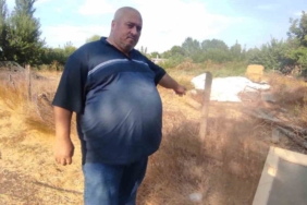 Çanakkale’de telefonla görüntülediği Bozyörük yılanının saldırısına uğradı