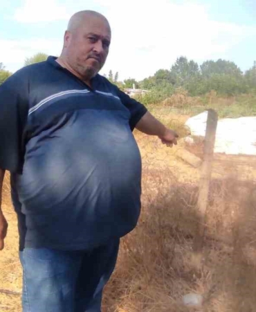 Çanakkale’de telefonla görüntülediği Bozyörük yılanının saldırısına uğradı