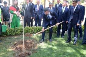 Cumhurbaşkanı Yardımcısı Yılmaz: "Bilecik’te bizim de artık bir dikili çınarımız olacak"