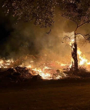 Edremit’te zeytinlik alanda yangın