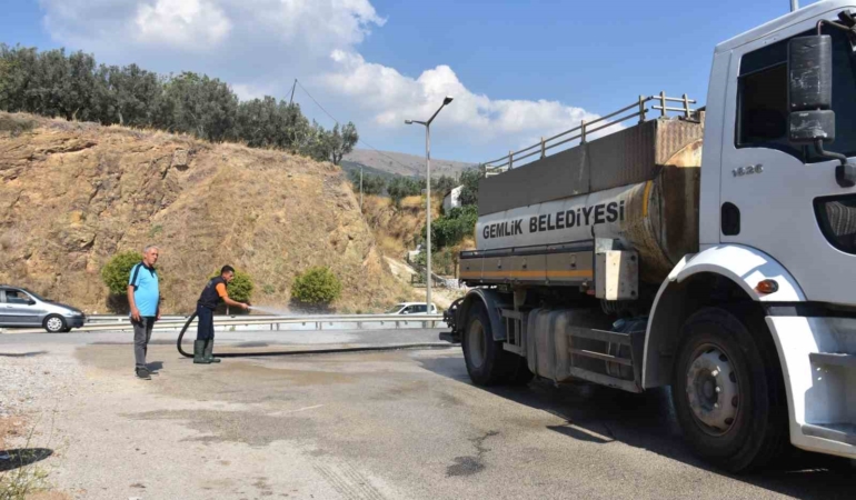 Gemlik’te dört koldan temizlik