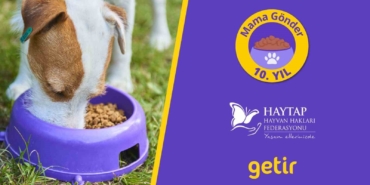 Getir, 10 yıldır patili dostların yanında