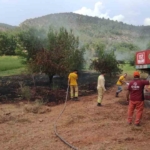 Göksu Nehri kenarında çıkan yangın kısa sürede söndürüldü