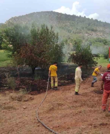 Göksu Nehri kenarında çıkan yangın kısa sürede söndürüldü