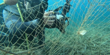 ’Hayalet ağ avcıları’ görev başında
