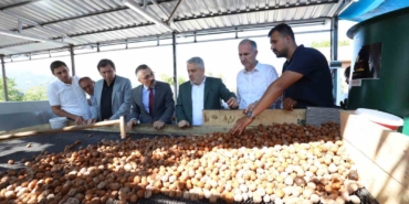 İnegöl’de hedef 42 bin ton ceviz