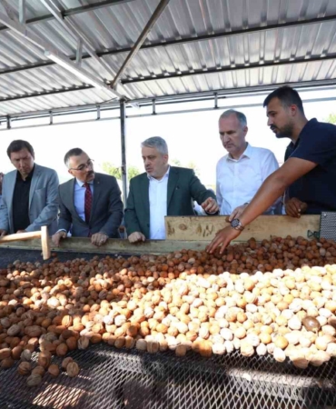 İnegöl’de hedef 42 bin ton ceviz