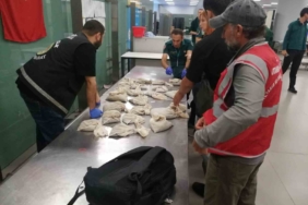 İstanbul Havalimanı’nda 20 bin adet canlı tıbbi sülük ele geçirildi