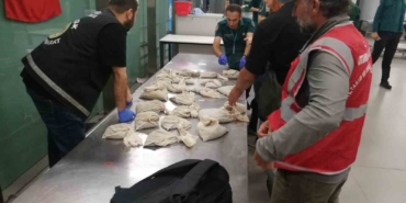 İstanbul Havalimanı’nda 20 bin adet canlı tıbbi sülük ele geçirildi