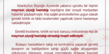 İstanbul İl Sağlık Müdürlüğü’nden "İstanbul’da maymun çiçeği görüldü" iddialarına ilişkin açıklama