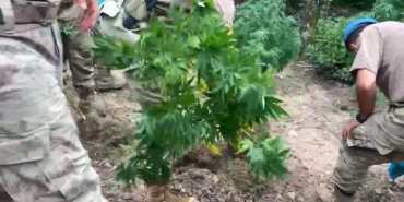 Jandarmadan uyuşturucu ve kaçakçılık operasyonu: 11 tutuklama