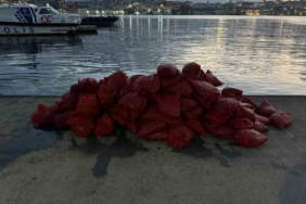 Kadıköy’de tonlarca kaçak midye ele geçirildi