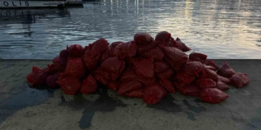 Kadıköy’de tonlarca kaçak midye ele geçirildi