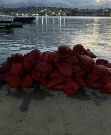 Kadıköy’de tonlarca kaçak midye ele geçirildi