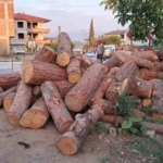 Kamyon virajı alamadı, tomruklar yola saçıldı