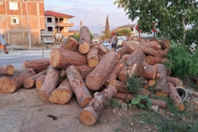 Kamyon virajı alamadı, tomruklar yola saçıldı